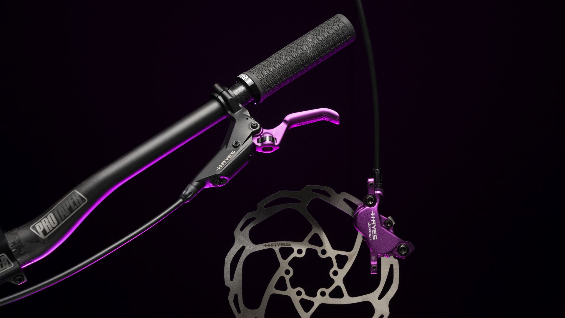 522297-DomionA4Purp-7812